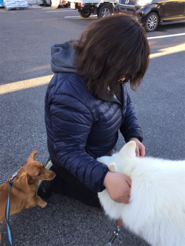 f:id:Lien0927:20171214112635j:image