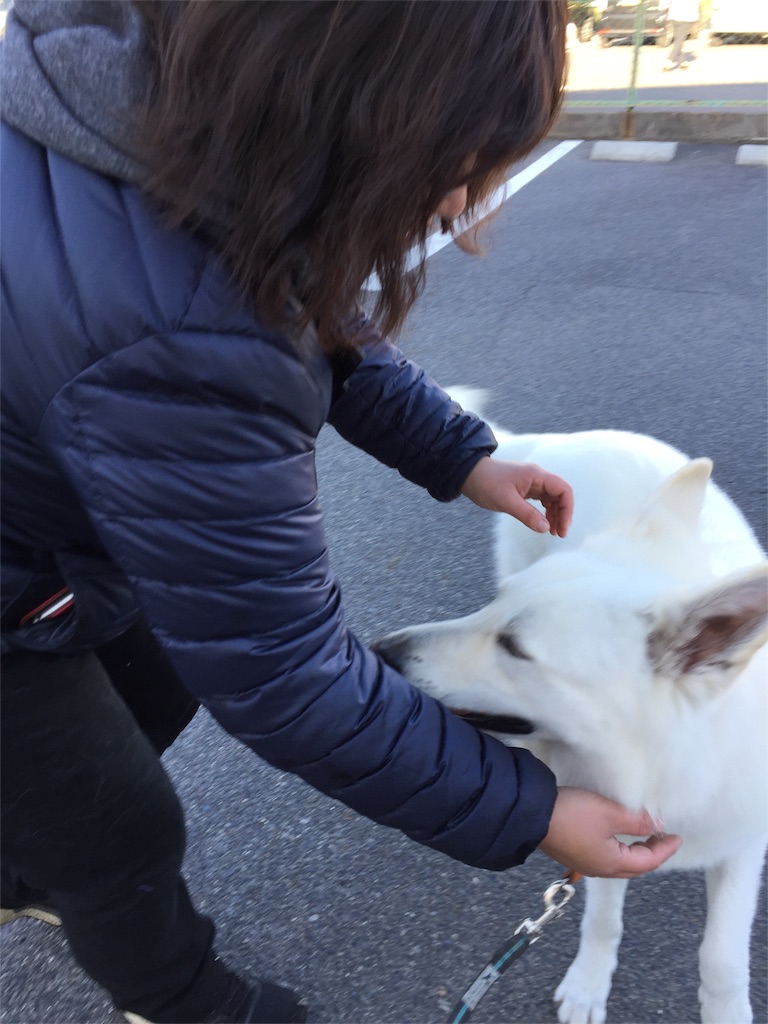 f:id:Lien0927:20171214114117j:image