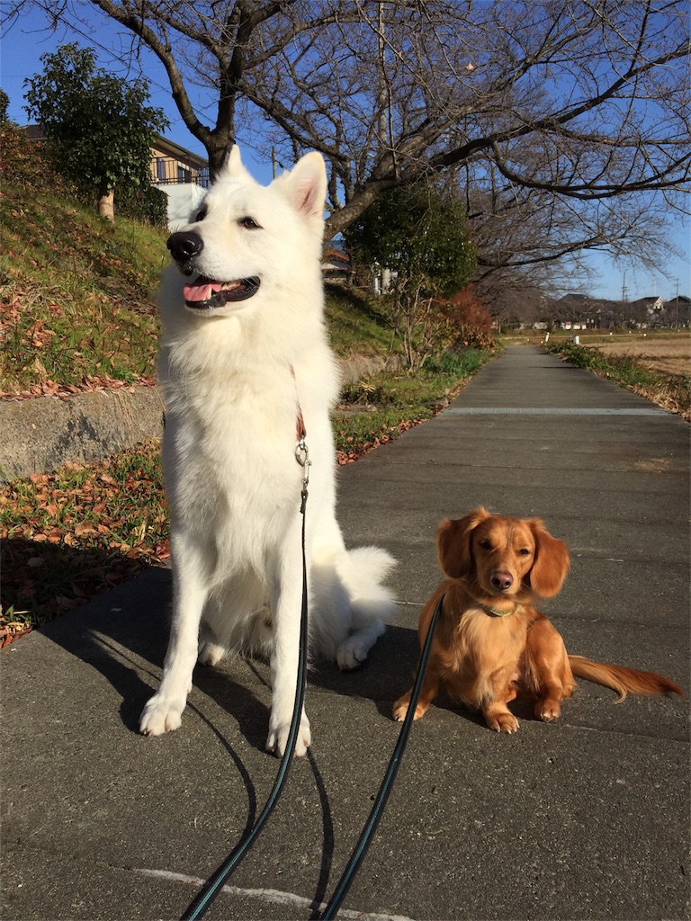 f:id:Lien0927:20171214114529j:image