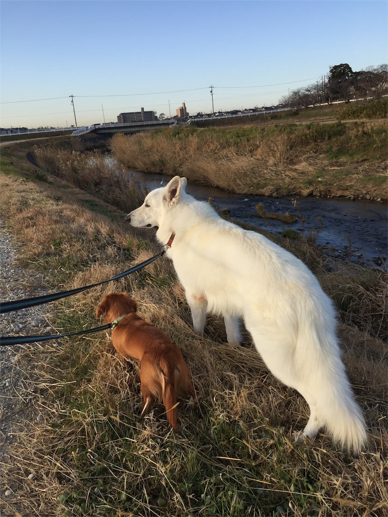 f:id:Lien0927:20171215133649j:image