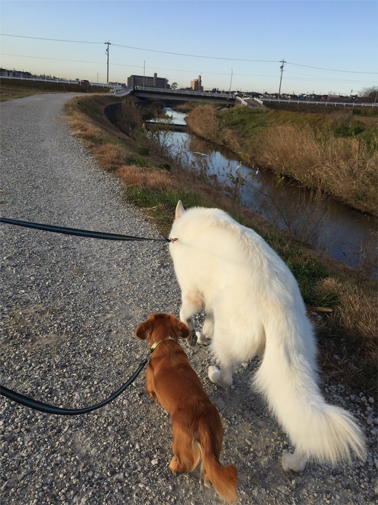 f:id:Lien0927:20171215133706j:image