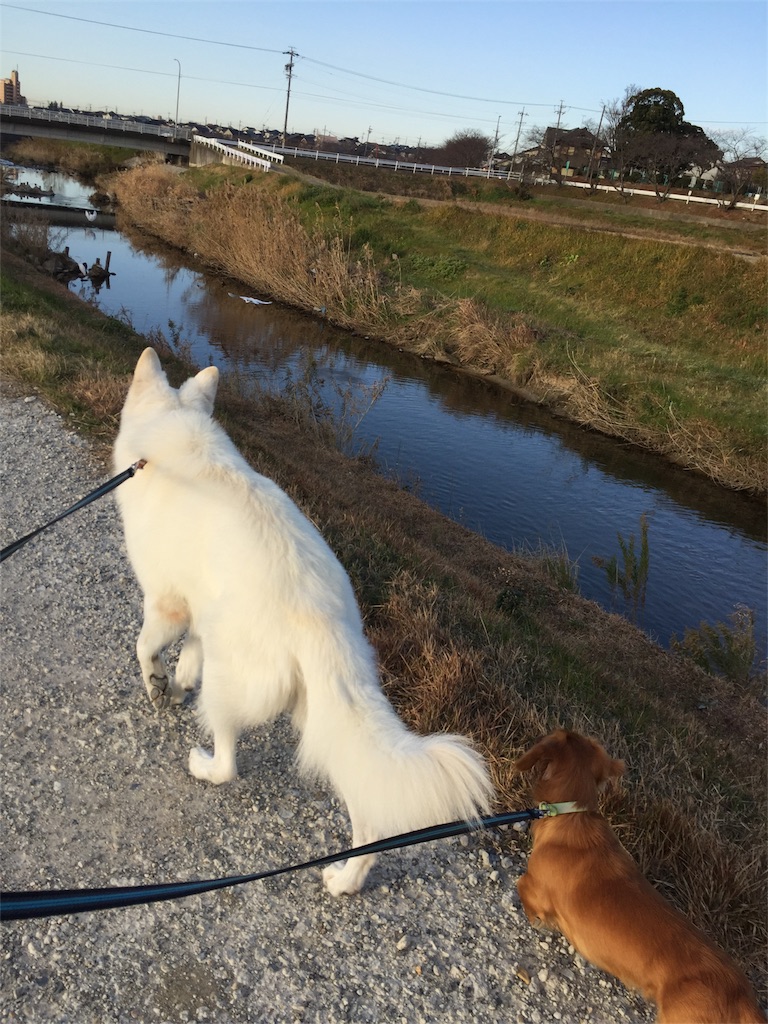 f:id:Lien0927:20171215133732j:image