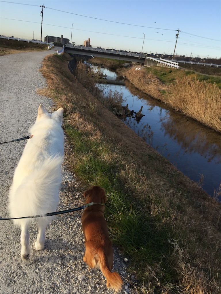 f:id:Lien0927:20171215133737j:image