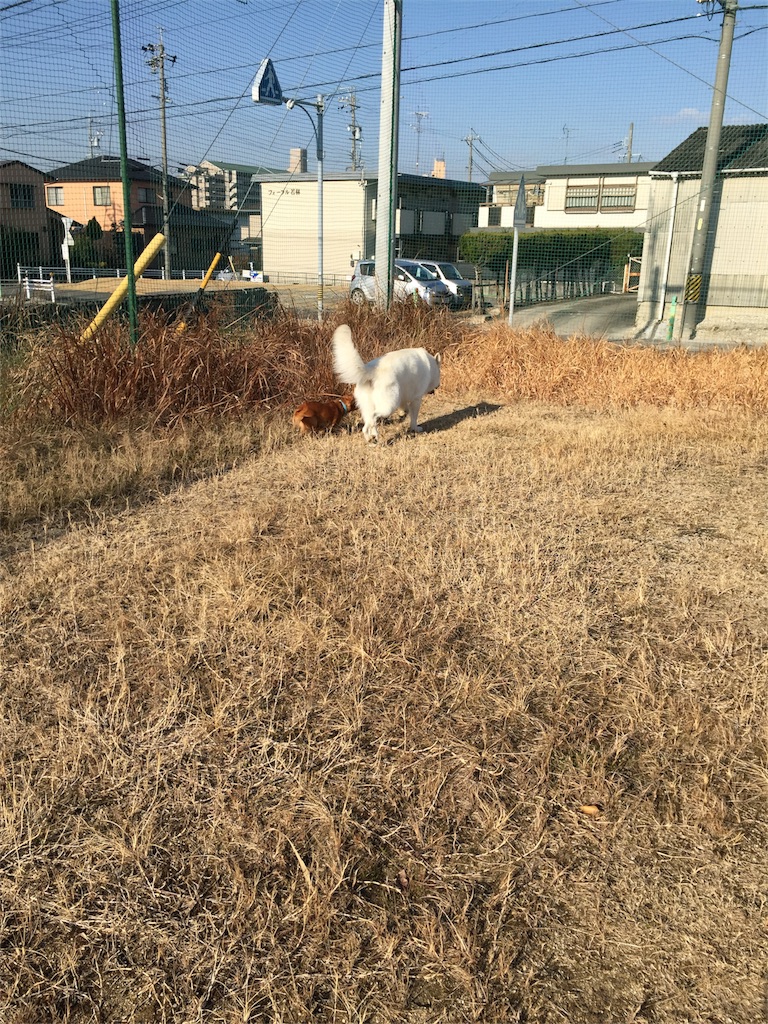 f:id:Lien0927:20180116133945j:image f:id:Lien0927:20180116133945j:image