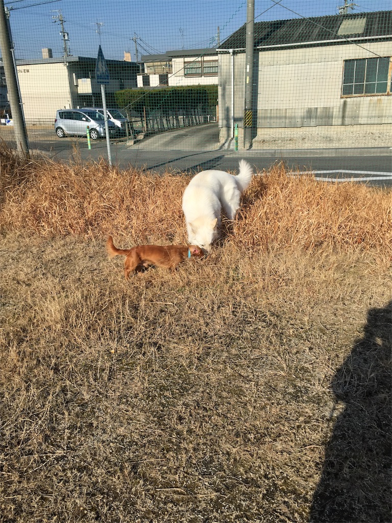 f:id:Lien0927:20180116133957j:image f:id:Lien0927:20180116133957j:image