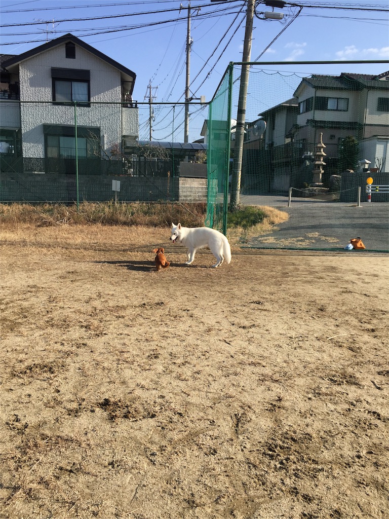 f:id:Lien0927:20180116134008j:image f:id:Lien0927:20180116134008j:image