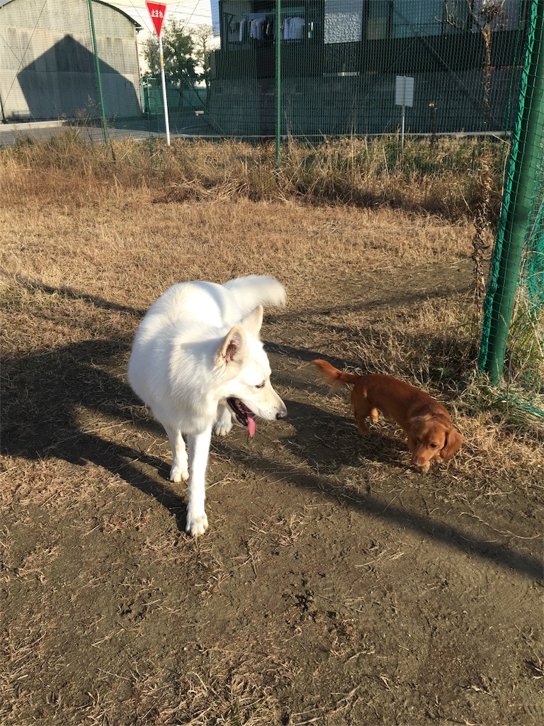 f:id:Lien0927:20180116134035j:image f:id:Lien0927:20180116134035j:image