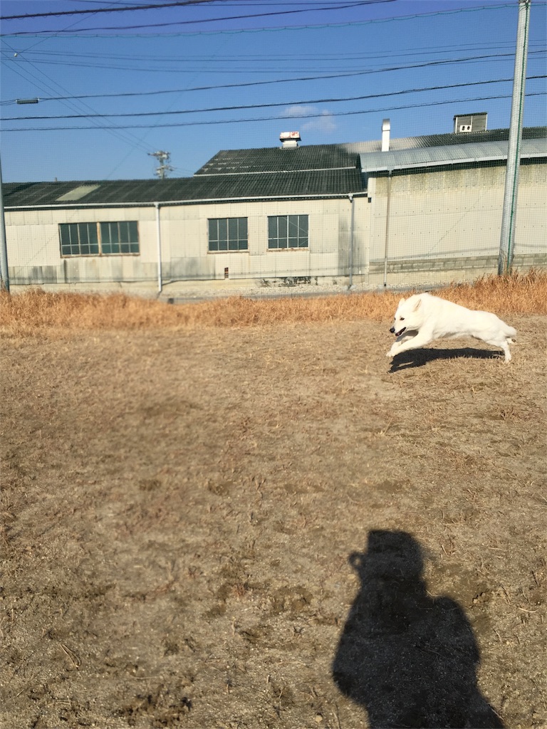 f:id:Lien0927:20180116134145j:image f:id:Lien0927:20180116134145j:image