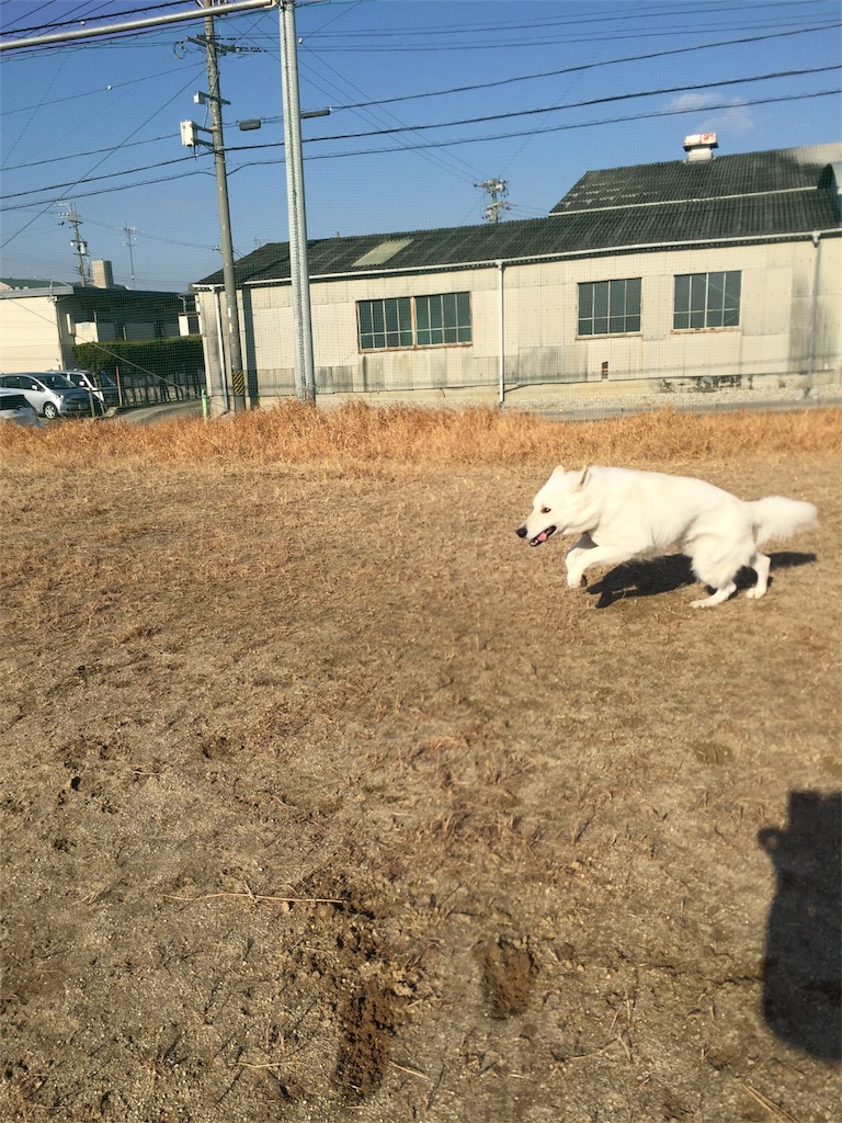 f:id:Lien0927:20180116134206j:image f:id:Lien0927:20180116134206j:image