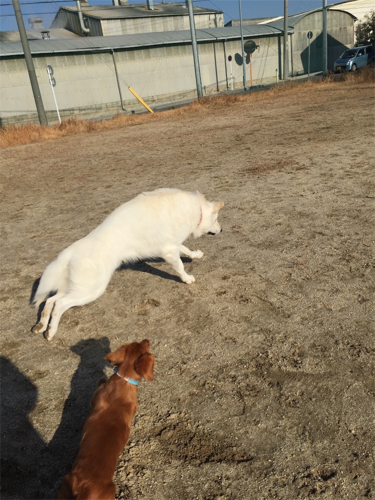 f:id:Lien0927:20180116134723j:image f:id:Lien0927:20180116134723j:image