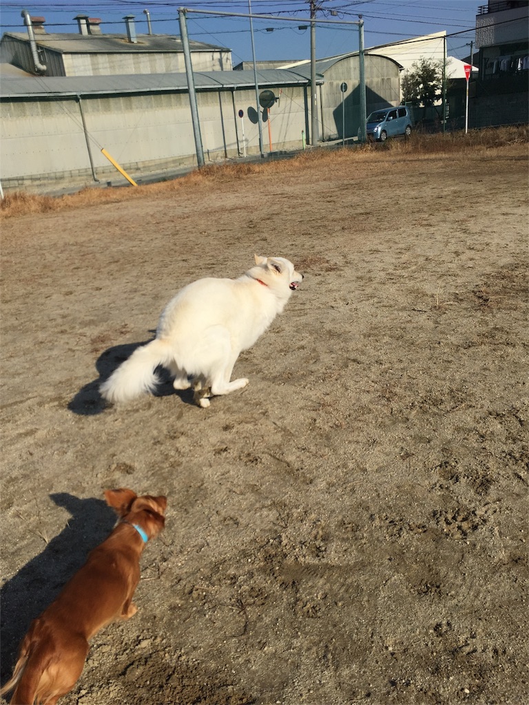 f:id:Lien0927:20180116134733j:image f:id:Lien0927:20180116134733j:image