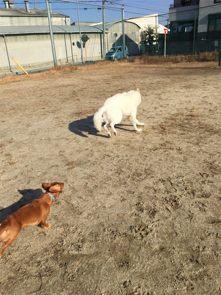 f:id:Lien0927:20180116134821j:image f:id:Lien0927:20180116134821j:image