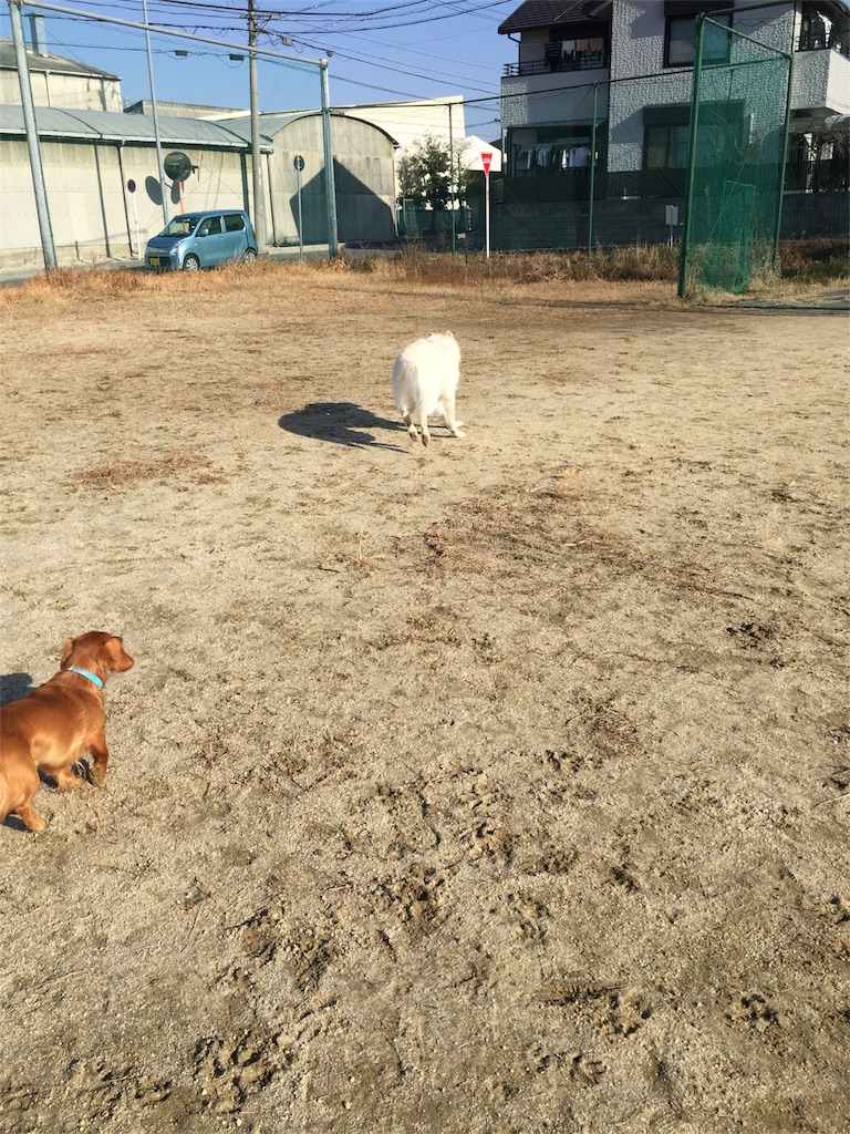 f:id:Lien0927:20180116134850j:image f:id:Lien0927:20180116134850j:image