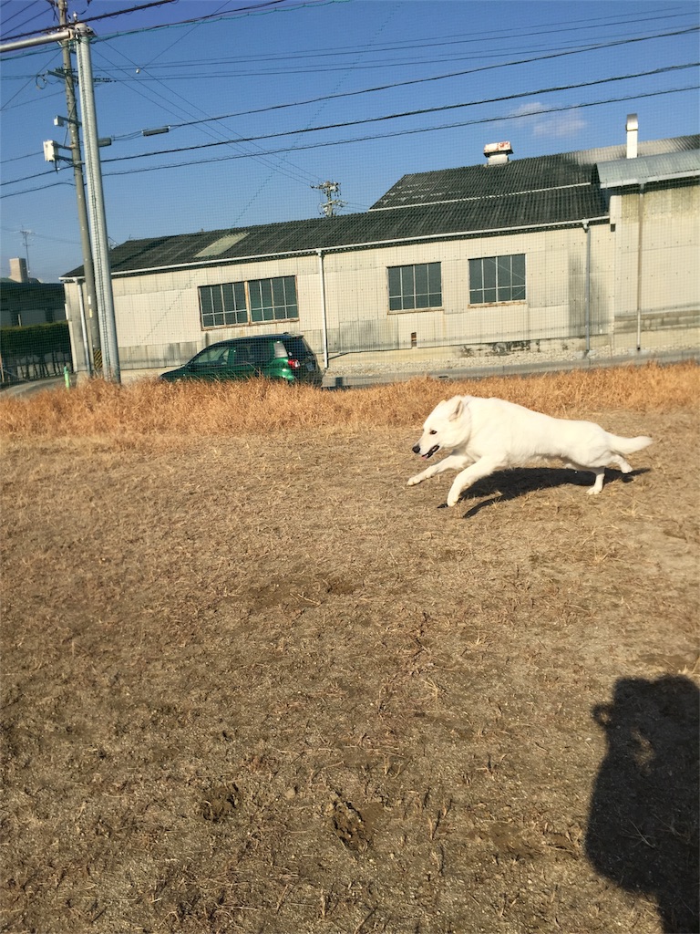 f:id:Lien0927:20180116135036j:image f:id:Lien0927:20180116135036j:image