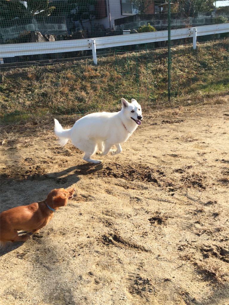 f:id:Lien0927:20180116135439j:image f:id:Lien0927:20180116135439j:image