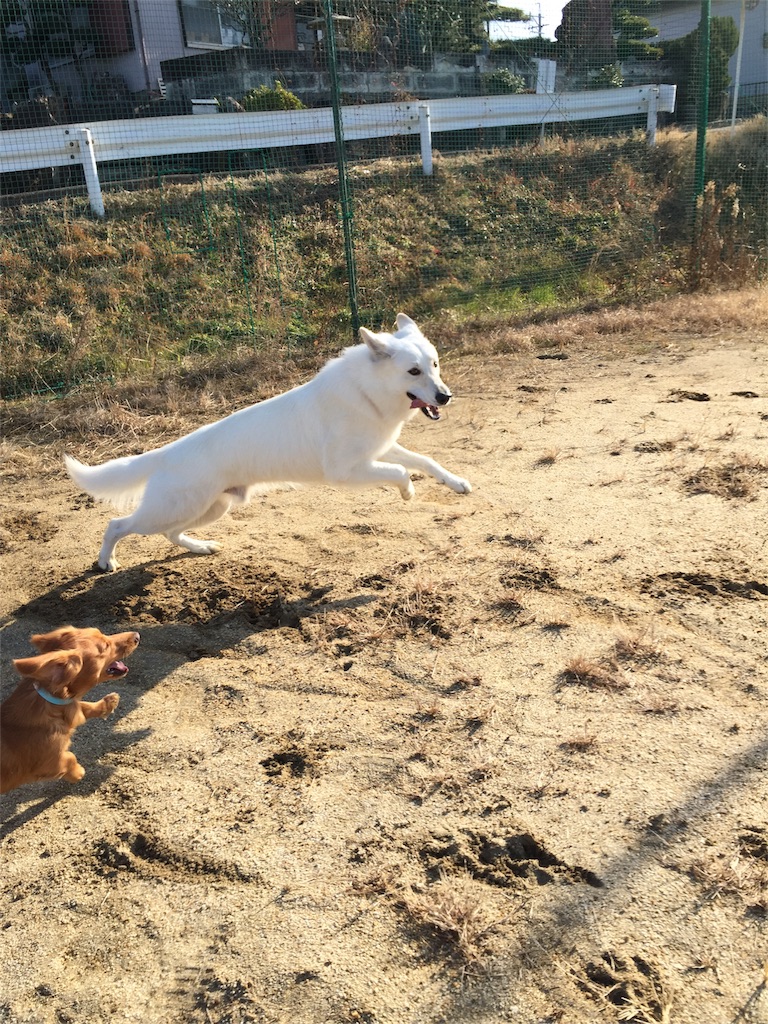 f:id:Lien0927:20180116135447j:image f:id:Lien0927:20180116135447j:image