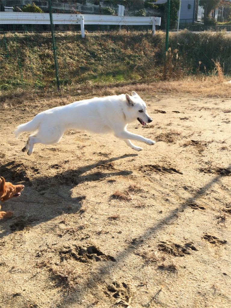 f:id:Lien0927:20180116135452j:image f:id:Lien0927:20180116135452j:image