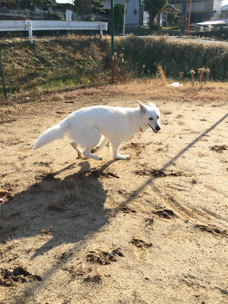 f:id:Lien0927:20180116135507j:image f:id:Lien0927:20180116135507j:image