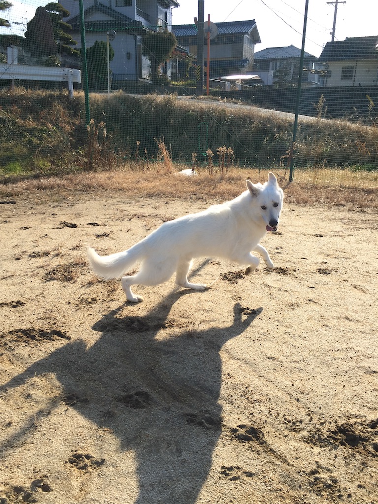 f:id:Lien0927:20180116135513j:image f:id:Lien0927:20180116135513j:image