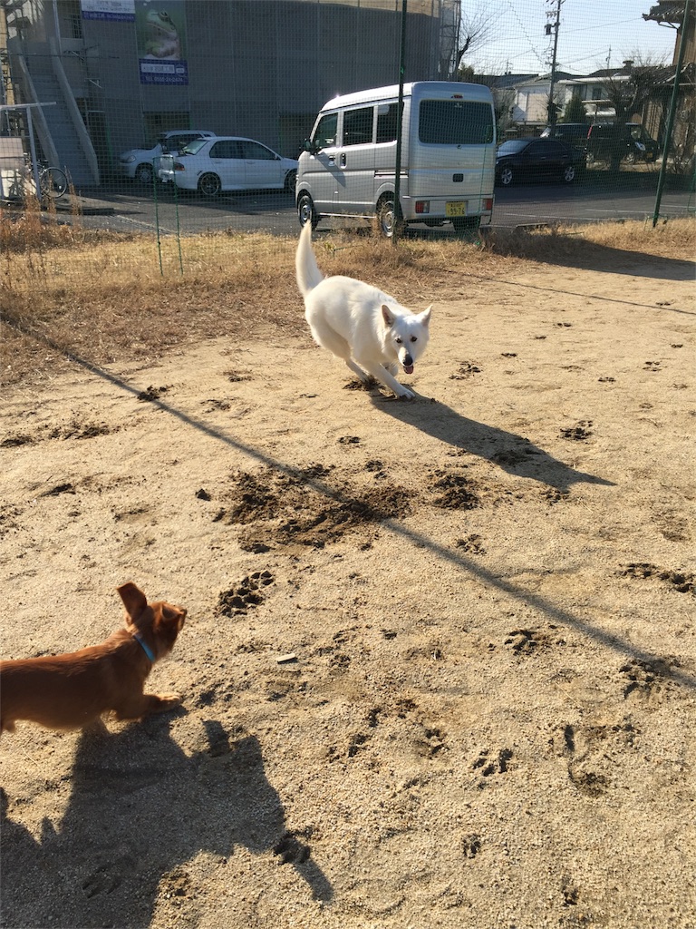 f:id:Lien0927:20180116135523j:image f:id:Lien0927:20180116135523j:image