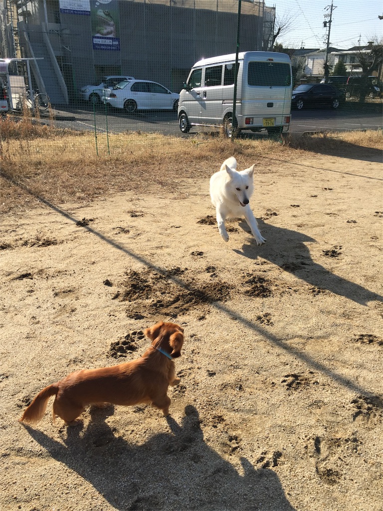 f:id:Lien0927:20180116135532j:image f:id:Lien0927:20180116135532j:image