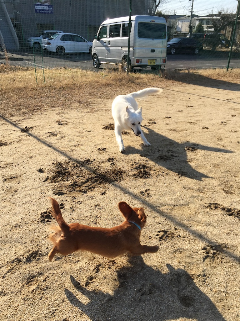 f:id:Lien0927:20180116135540j:image f:id:Lien0927:20180116135540j:image