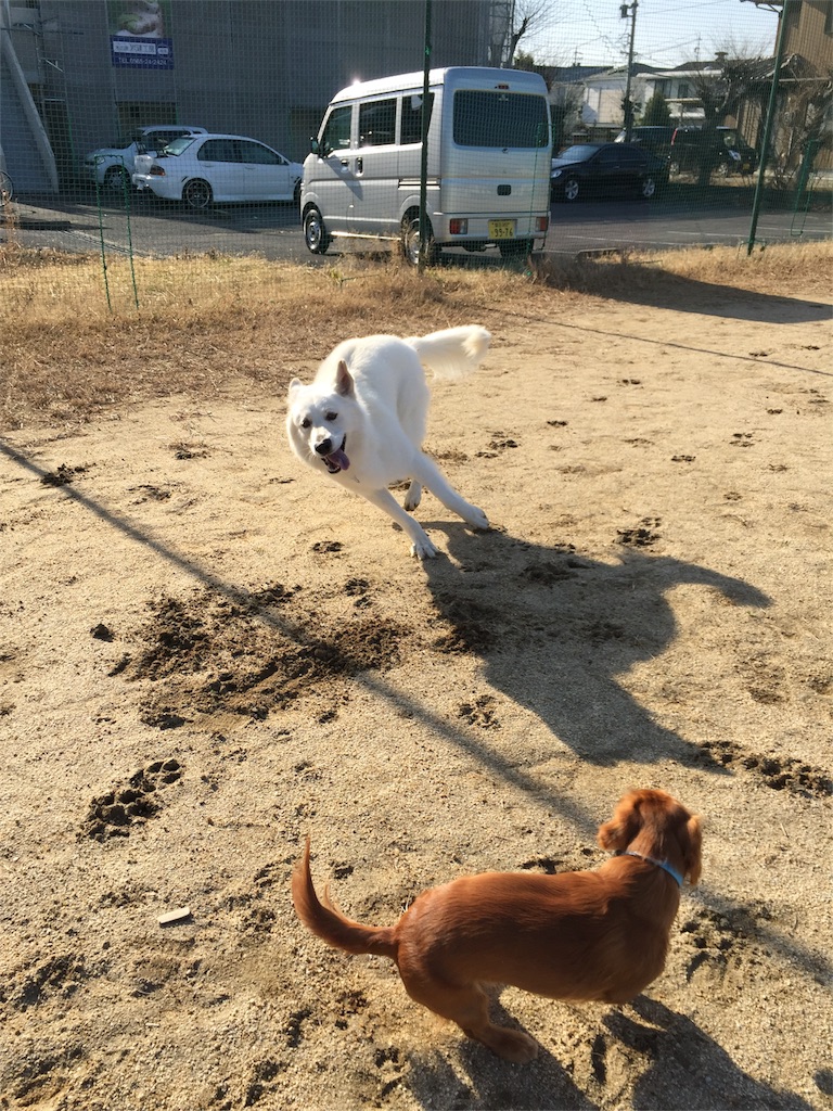 f:id:Lien0927:20180116135548j:image f:id:Lien0927:20180116135548j:image