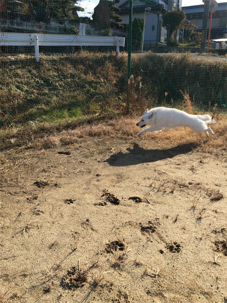 f:id:Lien0927:20180116135824j:image f:id:Lien0927:20180116135824j:image