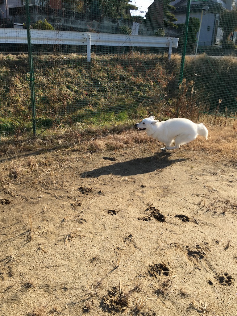 f:id:Lien0927:20180116135833j:image f:id:Lien0927:20180116135833j:image