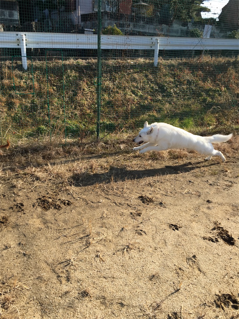 f:id:Lien0927:20180116135840j:image f:id:Lien0927:20180116135840j:image