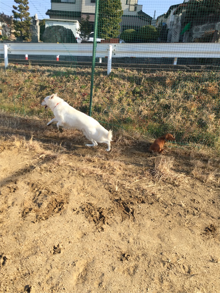 f:id:Lien0927:20180116135923j:image f:id:Lien0927:20180116135923j:image