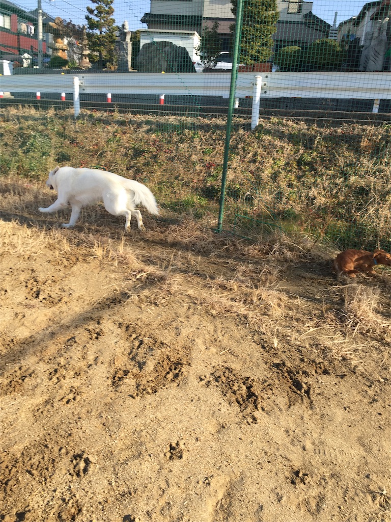 f:id:Lien0927:20180116135948j:image f:id:Lien0927:20180116135948j:image