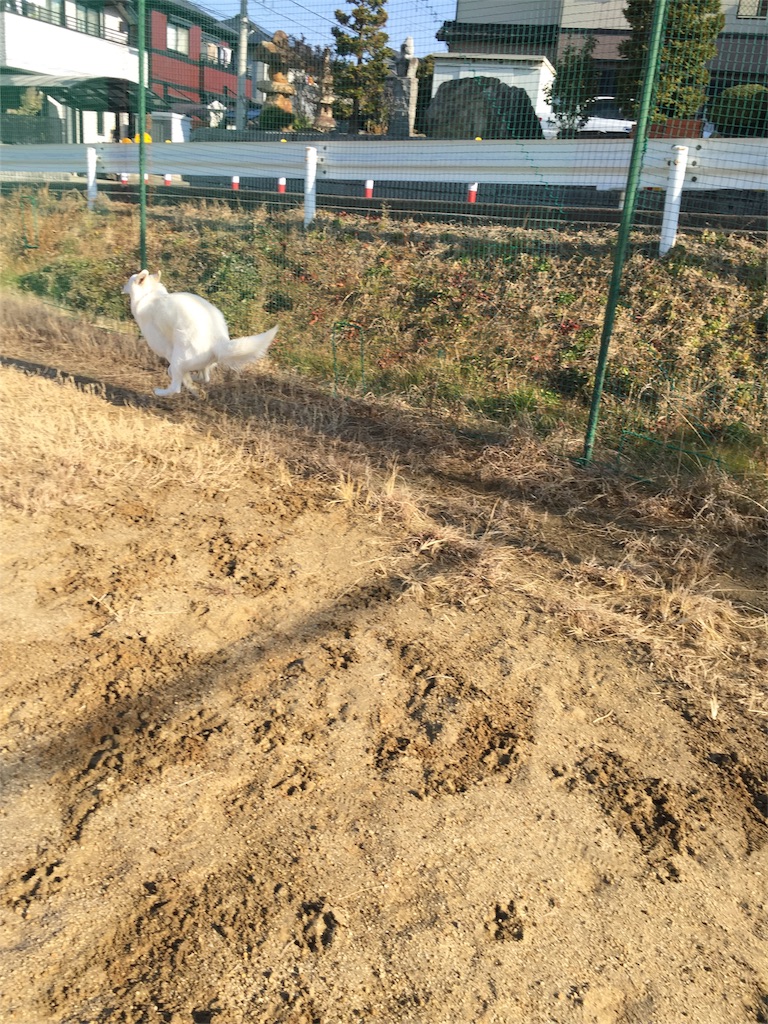 f:id:Lien0927:20180116135954j:image f:id:Lien0927:20180116135954j:image