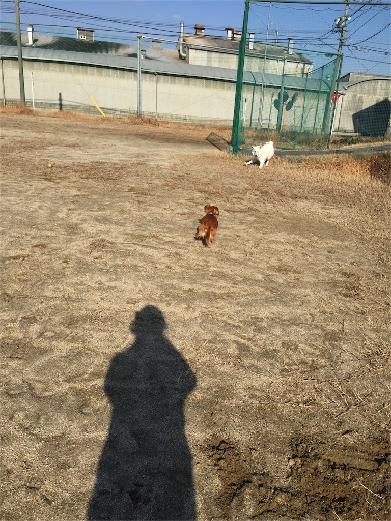 f:id:Lien0927:20180116140106j:image f:id:Lien0927:20180116140106j:image