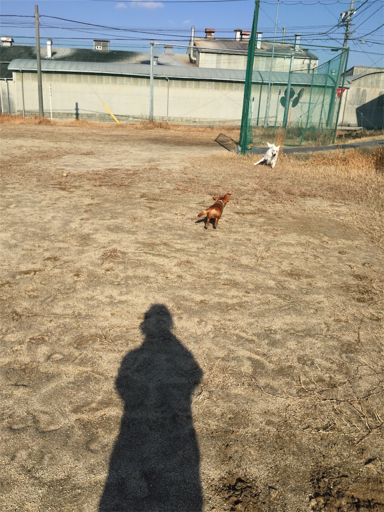 f:id:Lien0927:20180116140113j:image f:id:Lien0927:20180116140113j:image