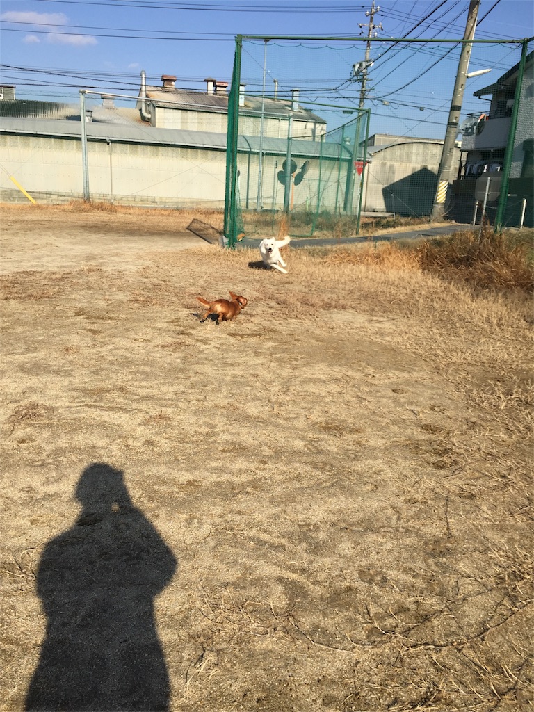 f:id:Lien0927:20180116140124j:image f:id:Lien0927:20180116140124j:image