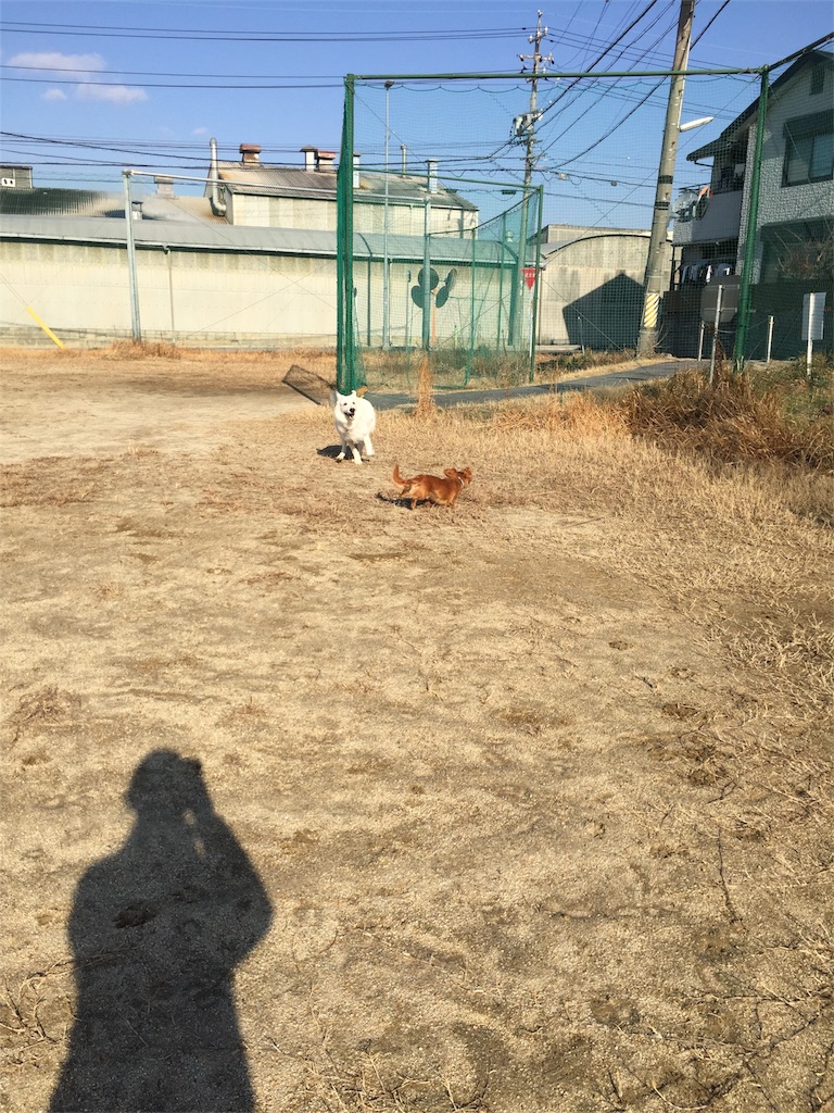 f:id:Lien0927:20180116140135j:image f:id:Lien0927:20180116140135j:image