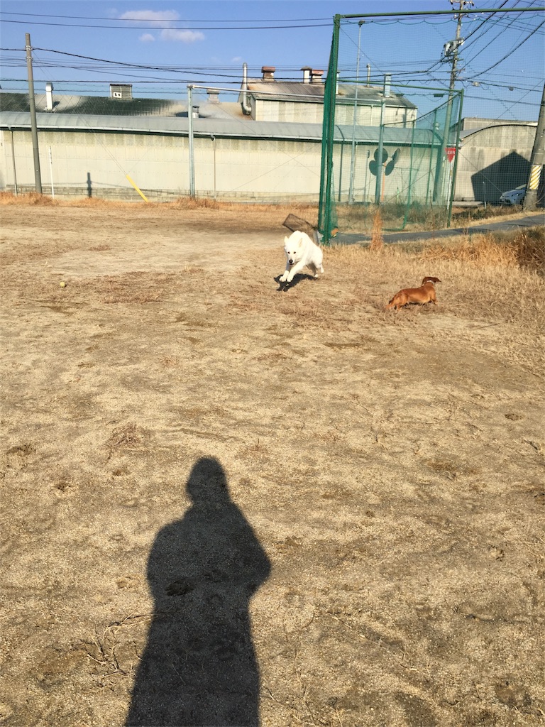 f:id:Lien0927:20180116140142j:image f:id:Lien0927:20180116140142j:image