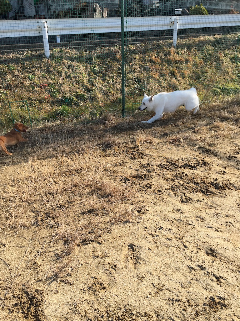 f:id:Lien0927:20180116141009j:image f:id:Lien0927:20180116141009j:image