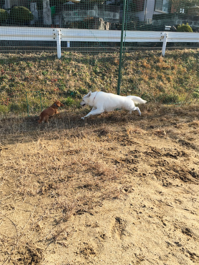 f:id:Lien0927:20180116141101j:image f:id:Lien0927:20180116141101j:image