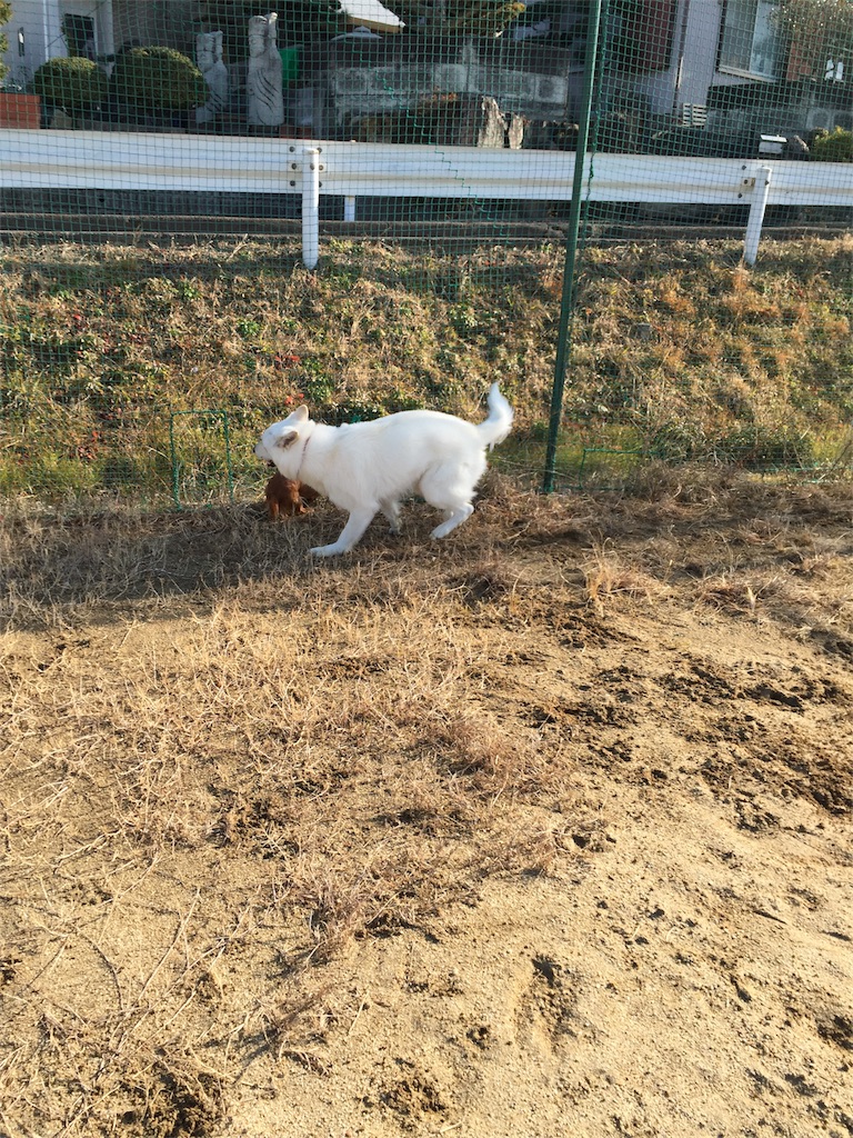 f:id:Lien0927:20180116141117j:image f:id:Lien0927:20180116141117j:image