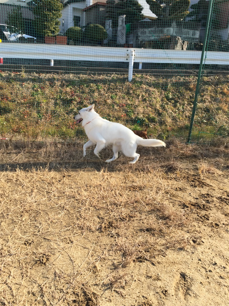 f:id:Lien0927:20180116141120j:image f:id:Lien0927:20180116141120j:image