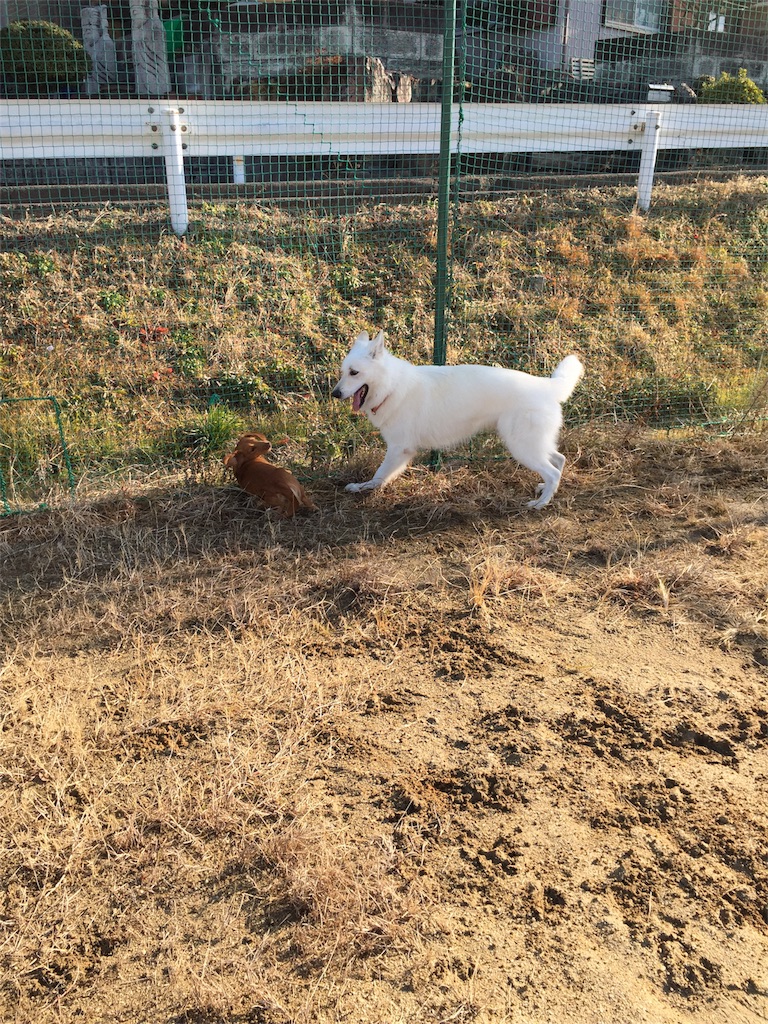 f:id:Lien0927:20180116141142j:image f:id:Lien0927:20180116141142j:image