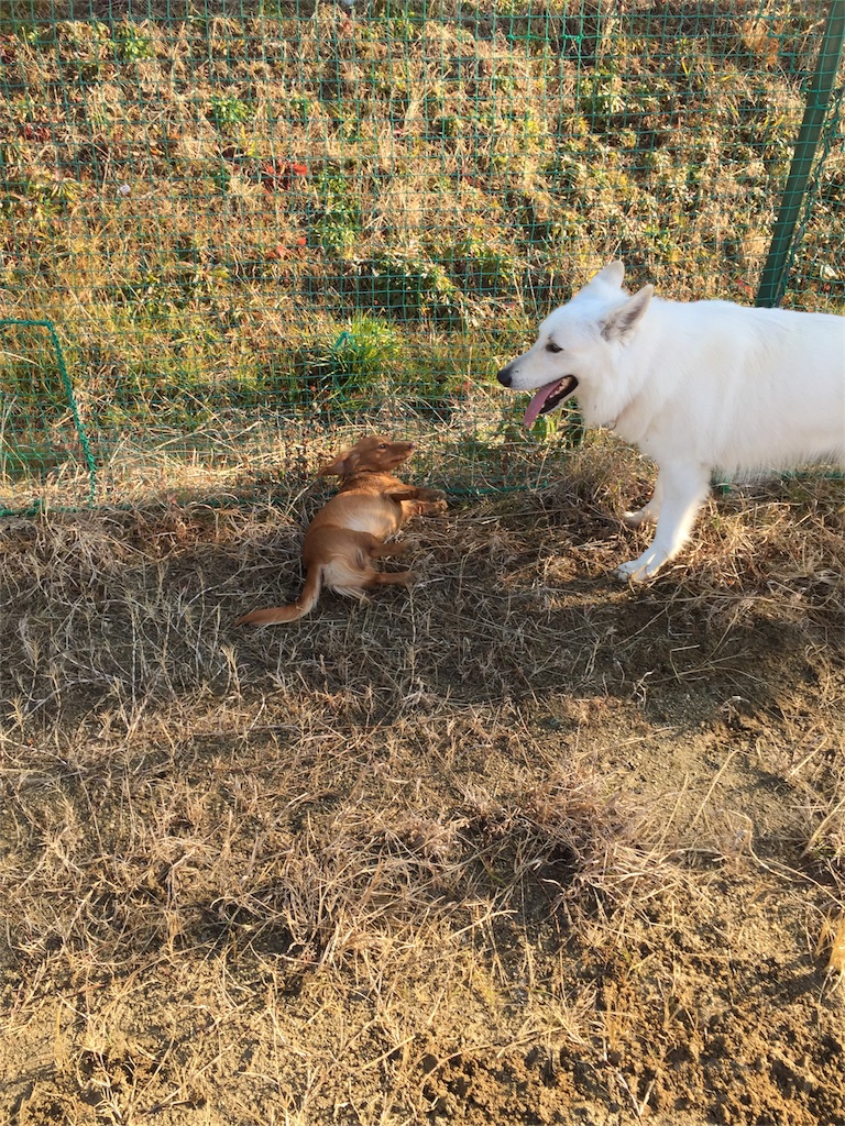 f:id:Lien0927:20180116141231j:image f:id:Lien0927:20180116141231j:image