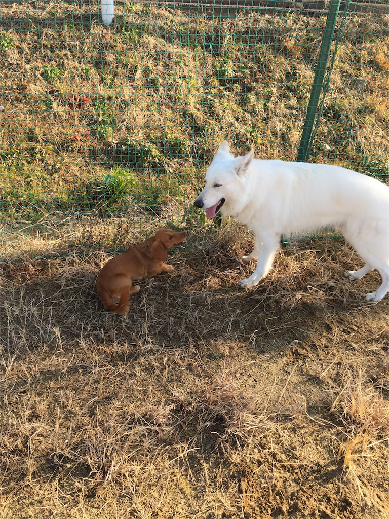 f:id:Lien0927:20180116141234j:image f:id:Lien0927:20180116141234j:image