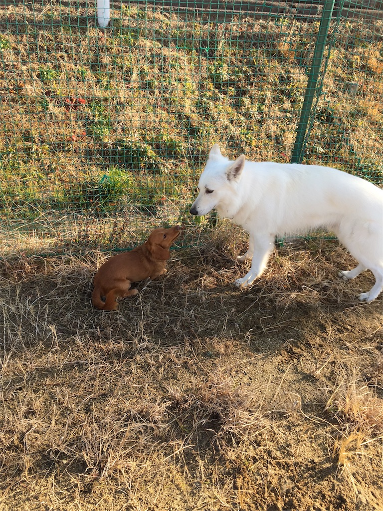 f:id:Lien0927:20180116141240j:image f:id:Lien0927:20180116141240j:image