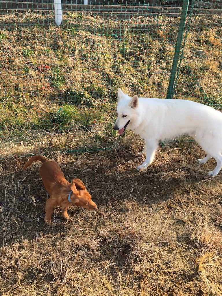 f:id:Lien0927:20180116141249j:image f:id:Lien0927:20180116141249j:image