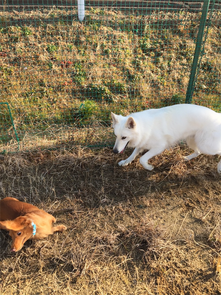 f:id:Lien0927:20180116141427j:image f:id:Lien0927:20180116141427j:image