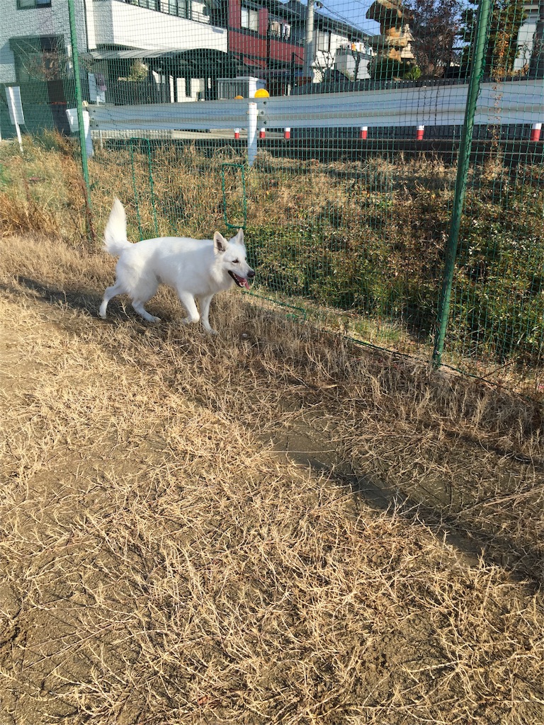 f:id:Lien0927:20180116141530j:image f:id:Lien0927:20180116141530j:image