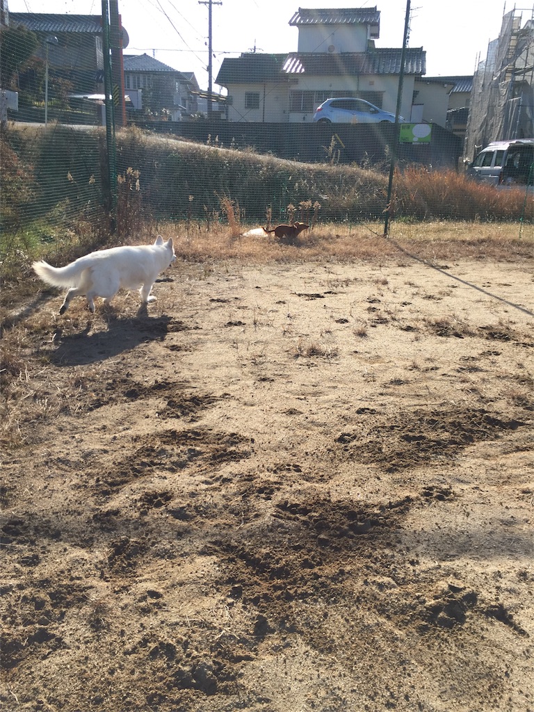 f:id:Lien0927:20180116141533j:image f:id:Lien0927:20180116141533j:image